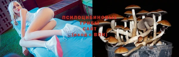 МДПВ Иннополис