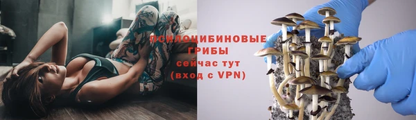 прущая мука Инта
