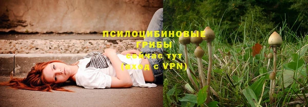 прущая мука Инта
