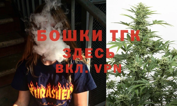 прущая мука Инта