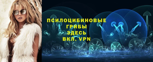 МДПВ Иннополис